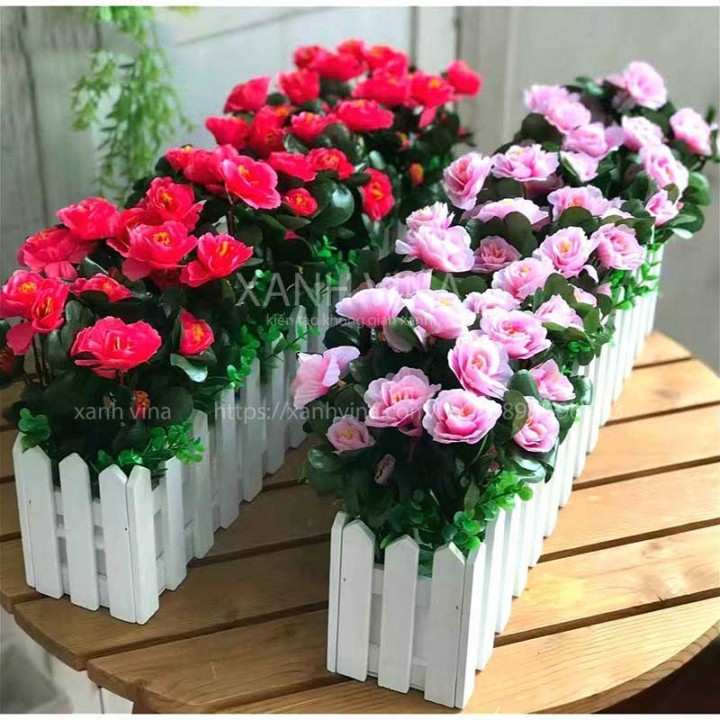 Hàng rào hoa đỗ quyên giả